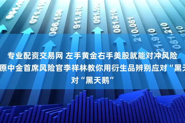 专业配资交易网 左手黄金右手美股就能对冲风险吗？原中金首席风险官李祥林教你用衍生品辨别应对“黑天鹅”